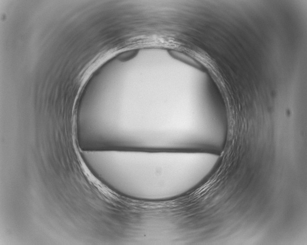 X0000056371439200508260909