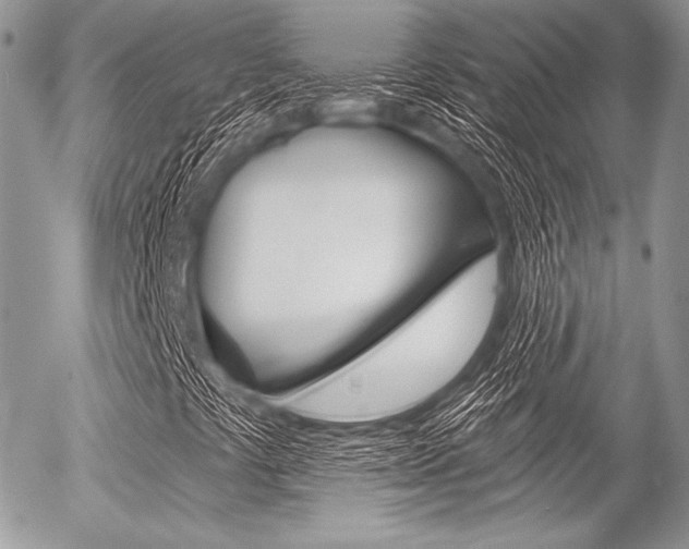 X0000056371441200508260908