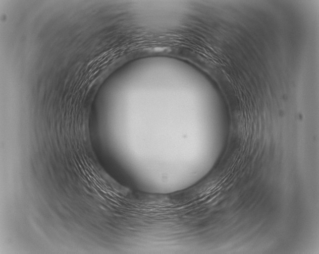 X0000056371442200508260908