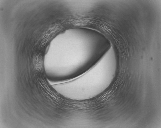 X0000056371444200508260908