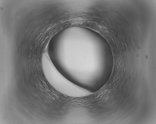 X0000056371445200508260908