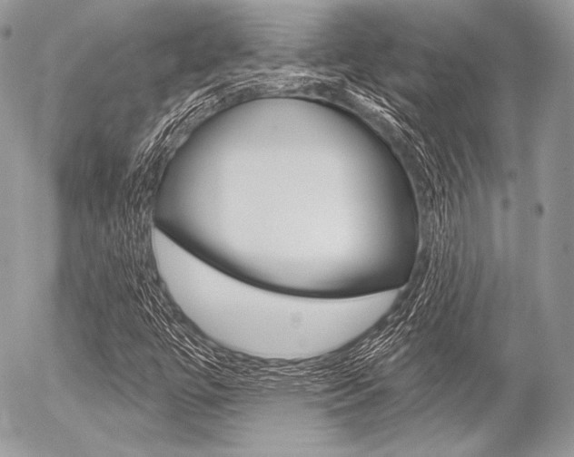 X0000056371447200508260908