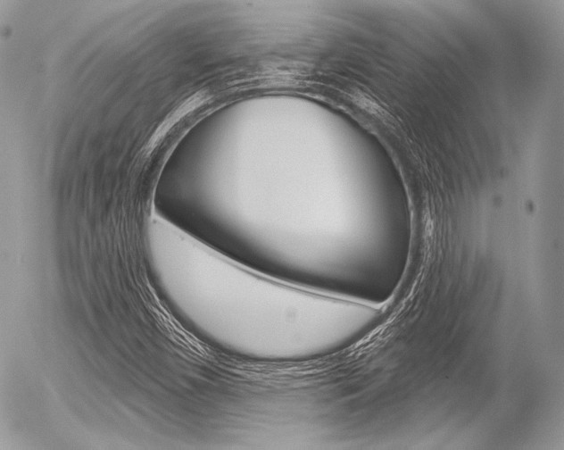 X0000056371450200508260908