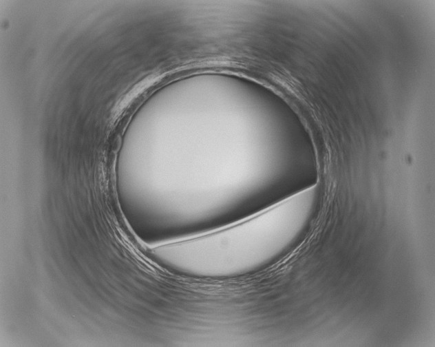 X0000056371452200508260908