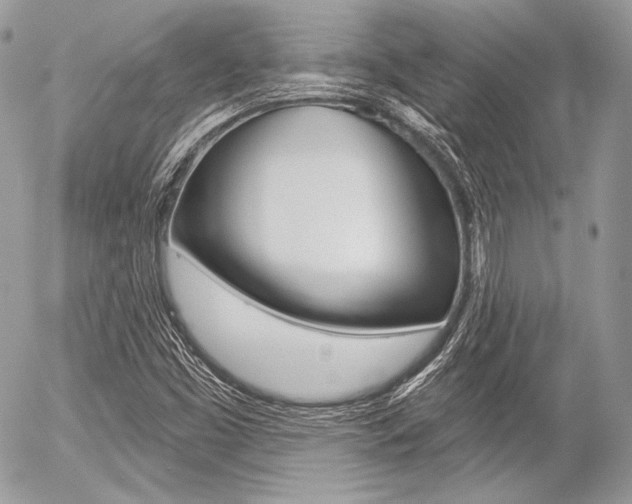 X0000056371453200508260908