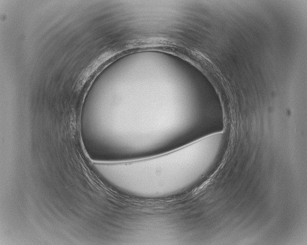 X0000056371457200508260908