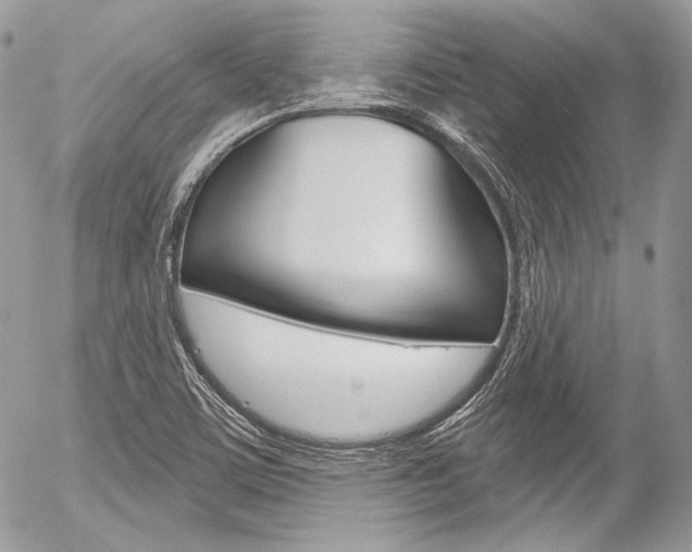 X0000056371459200508260908