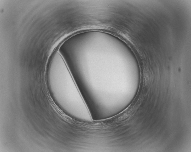 X0000056371460200508260908
