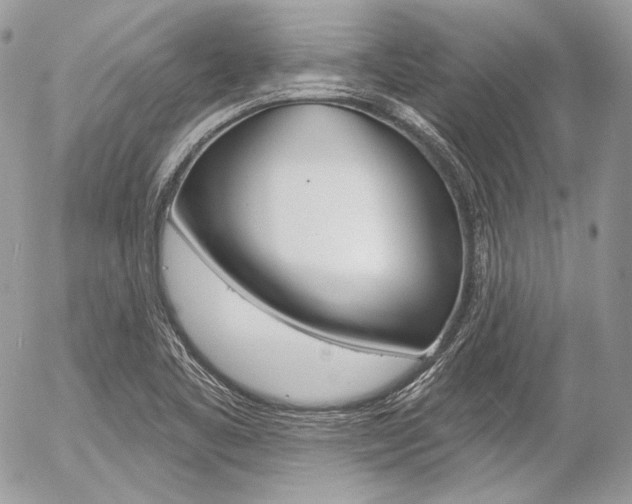 X0000056371461200508260908