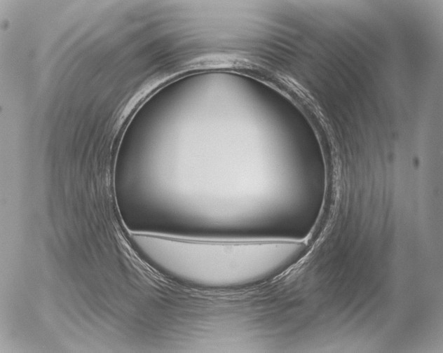 X0000056371465200508260908