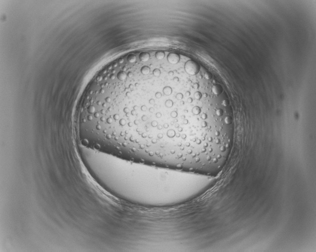 X0000056371475200508260908