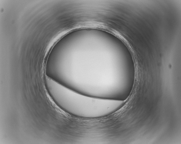 X0000056371477200508260908