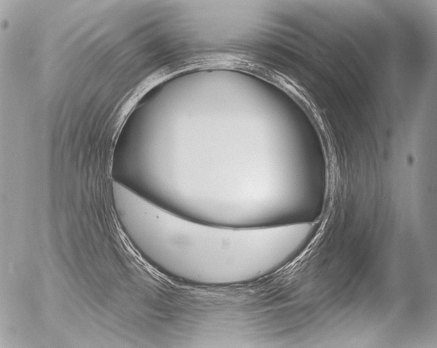 X0000056371481200508260908