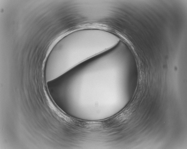 X0000056371483200508260908