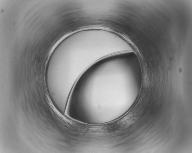 X0000056371484200508260908
