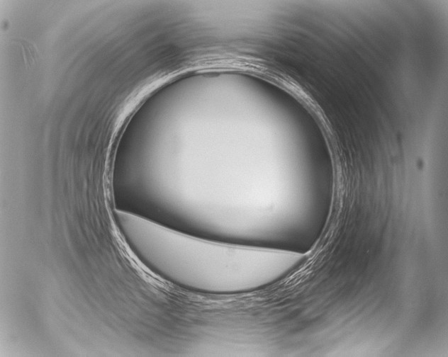 X0000056371485200508260908