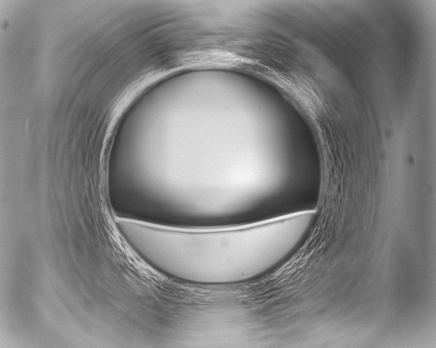 X0000056371488200508260908