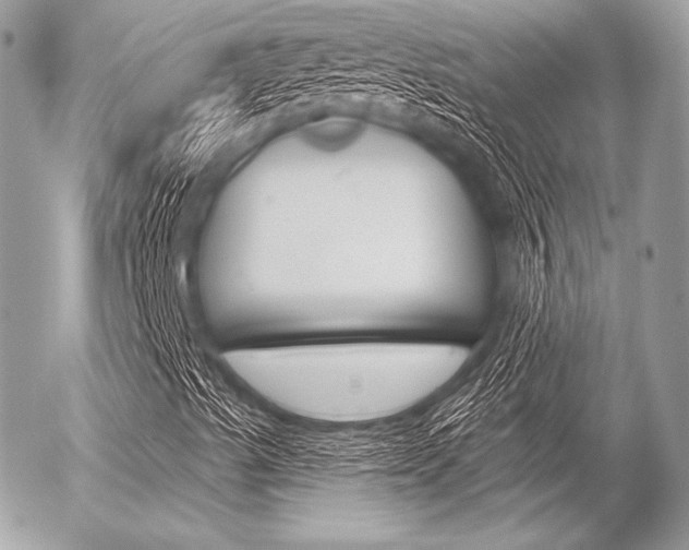 X0000056371489200508260907