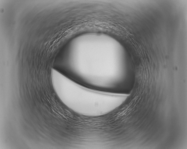 X0000056371490200508260907