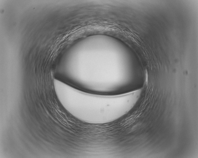 X0000056371492200508260907