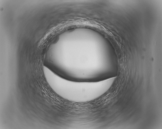 X0000056371495200508260907