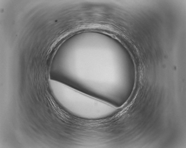 X0000056371497200508260907