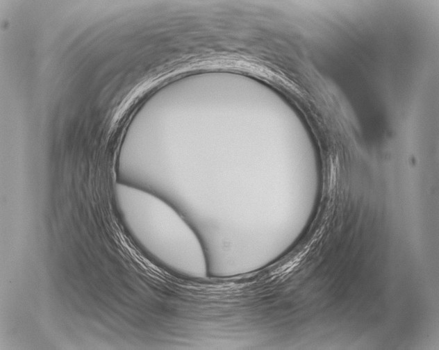 X0000056371498200508260907