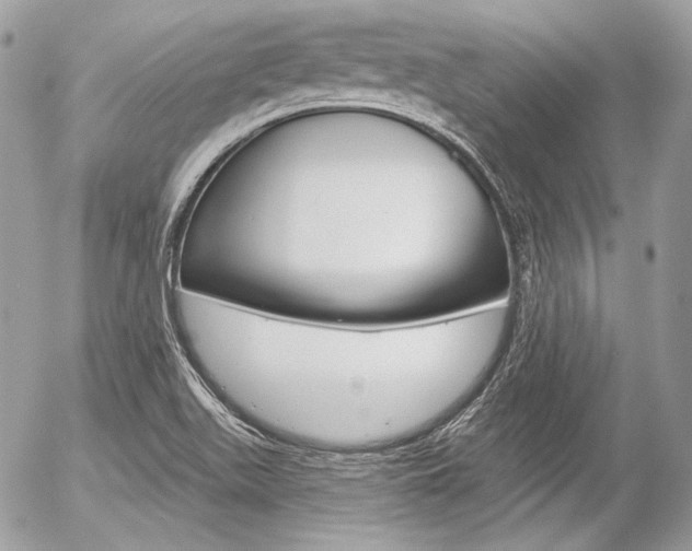 X0000056371511200508260907