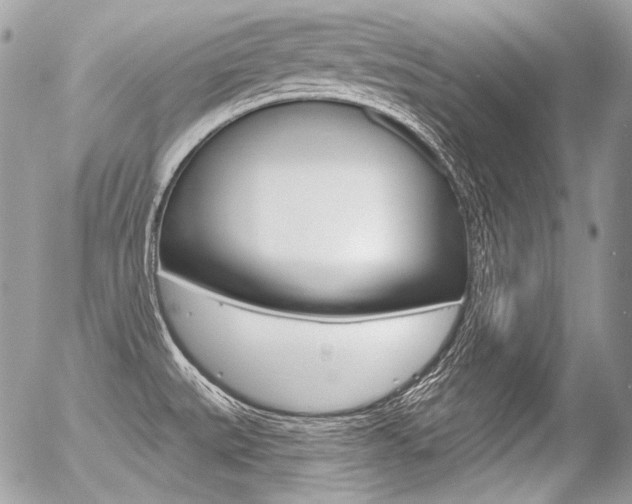X0000056371527200508260907