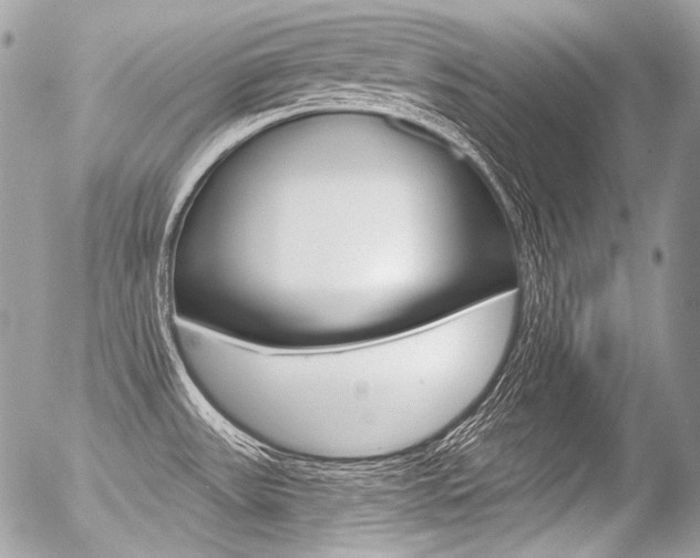 X0000056371531200508260908