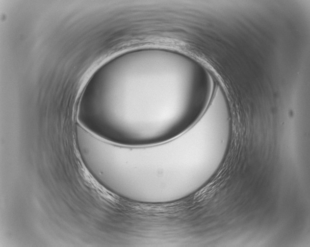 X0000056371532200508260908