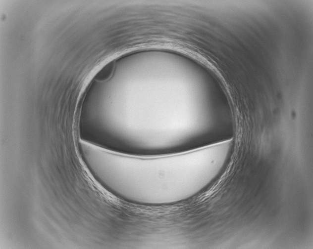 X0000056371533200508260908