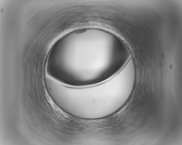 X0000056371534200508260908