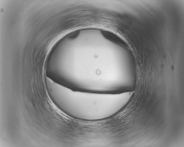 X0000056371535200508260908
