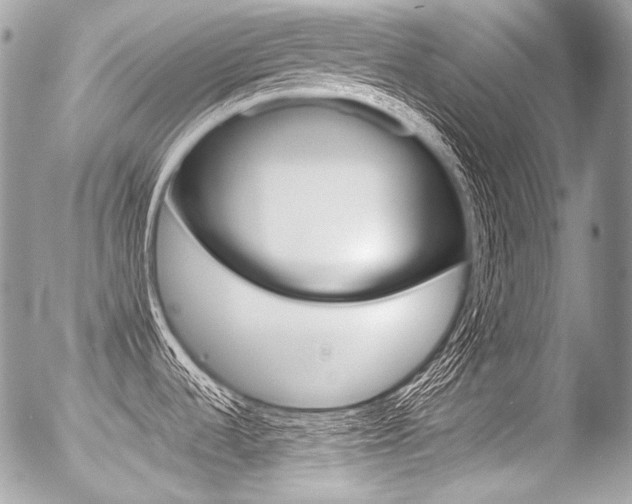 X0000056371536200508260908