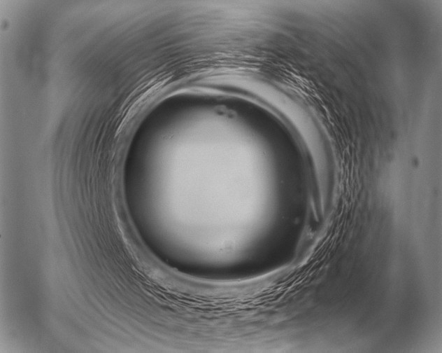 X0000056370001200508261415