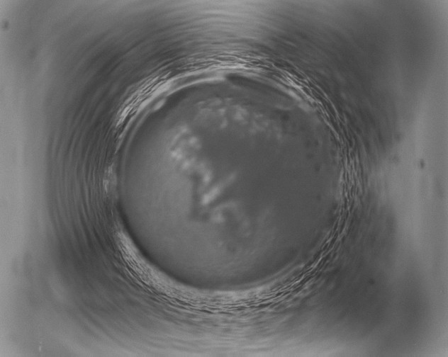 X0000056370002200508261415