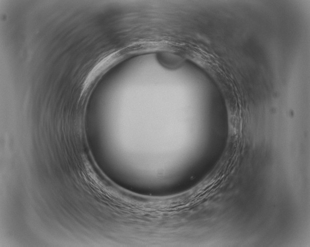 X0000056370004200508261415