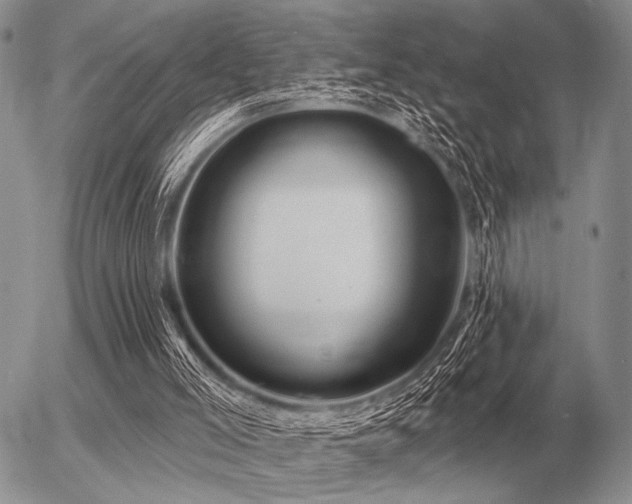 X0000056370005200508261415