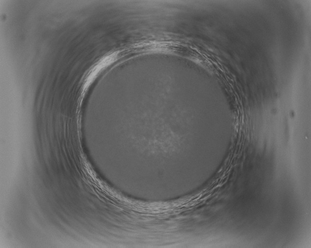 X0000056370006200508261415