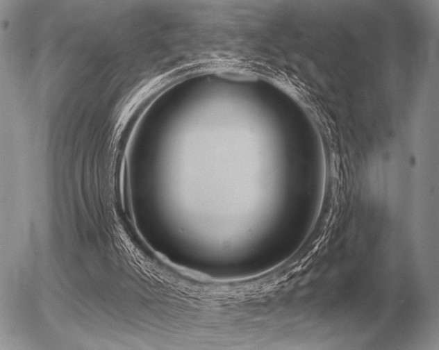 X0000056370007200508261415