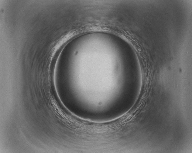 X0000056370008200508261415