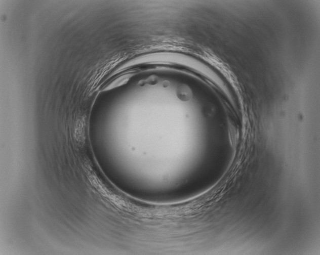 X0000056370009200508261415