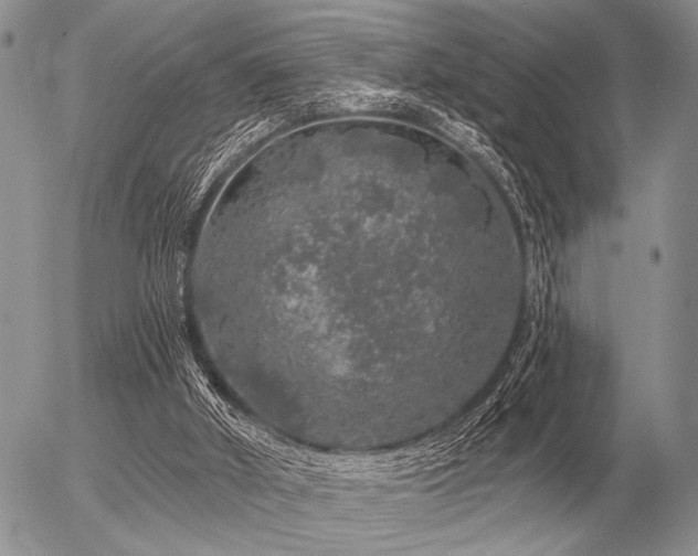 X0000056370010200508261415