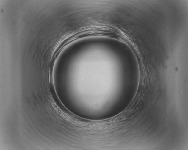 X0000056370011200508261415