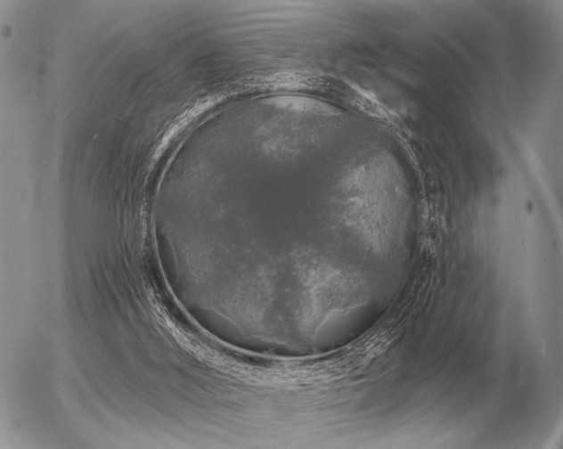 X0000056370012200508261415