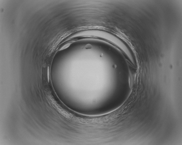 X0000056370013200508261415