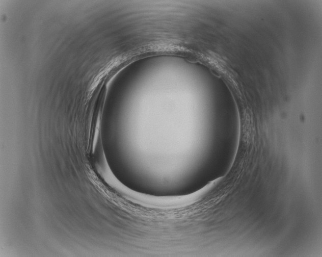 X0000056370015200508261415