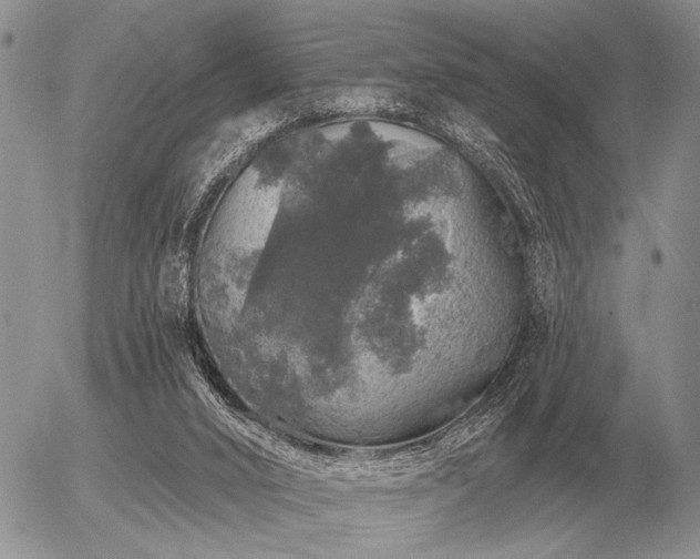 X0000056370016200508261415