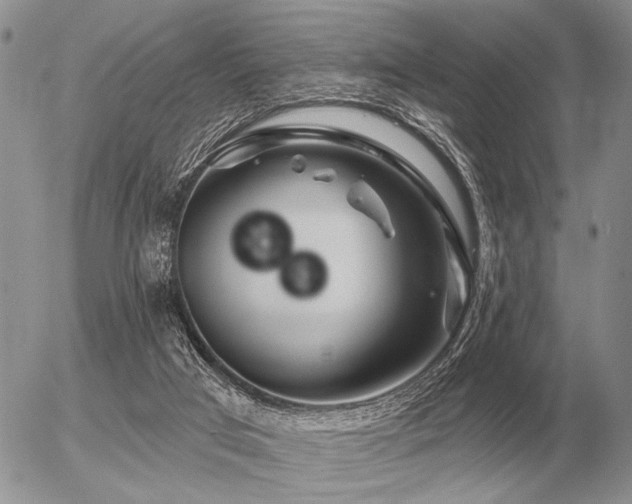 X0000056370017200508261415